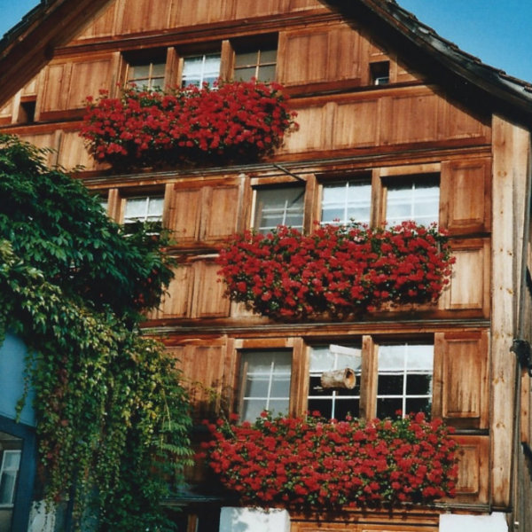 Dorf 106 Walzenhausen